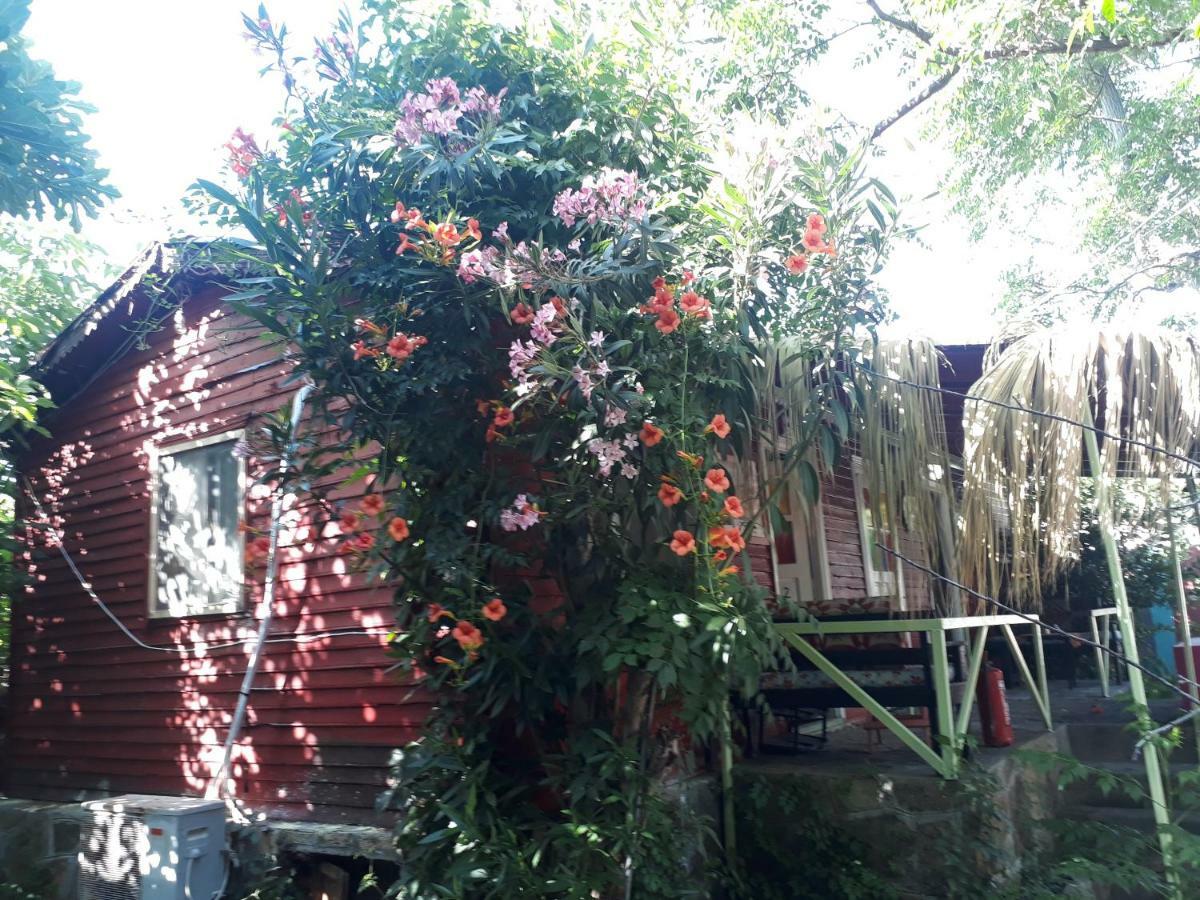 Side Tuana Garden Home Buitenkant foto